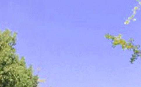 ΢���簲����������